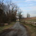 Harvey Boyce Photo 14