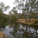 Casey Chambers Photo 19