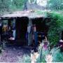 Ruth Roy Photo 18