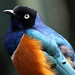 Elizabeth Starling Photo 23