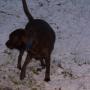 Janet Hamby Photo 7