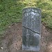 Daniel Hankins Photo 21