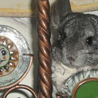 Norman Gray Photo 9