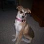 Brenda Olson Photo 24