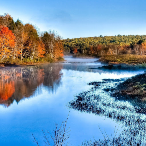Howard Simpson Photo 18