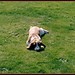 Ray Bassett Photo 9