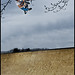 Craig Botts Photo 12