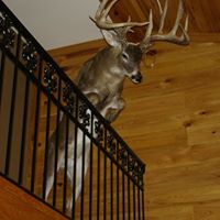 Keith Link Photo 18