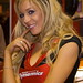 Steven Robbins Photo 49