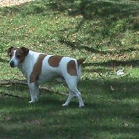 Janet Rowlands Photo 17