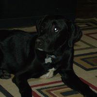 Karen Alford Photo 31