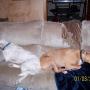 Holly Andrews Photo 11