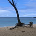 Christopher Wester Photo 10