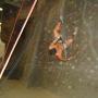 Aaron Simonsen Photo 14
