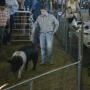 Randall Lowe Photo 13