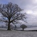 Craig Winters Photo 20