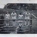 Barbara Coggins Photo 10