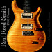 Paul Bird Photo 33