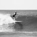 Wanda Morton Photo 16