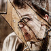 Nick Howell Photo 35