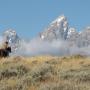 Keith Sauer Photo 11