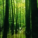 Richard Greenway Photo 18
