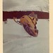 David Patten Photo 30