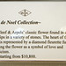 Beverly Noel Photo 13