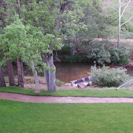 Kathy Graham Photo 8