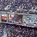 Ed Reed Photo 26