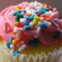 Jenny Cake Photo 2