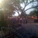 Jennifer Tuttle Photo 15
