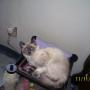 Jean Malone Photo 28