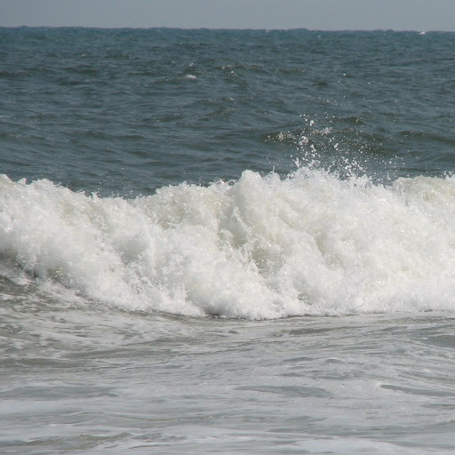 Debbie Carroll Photo 6