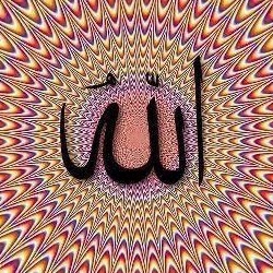Showkat Akbar Photo 8