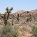 Joshua Forrest Photo 7