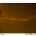 Edmond Tse Photo 14