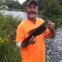 Tim Elston Photo 6