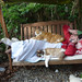 Debbie Vincent Photo 24