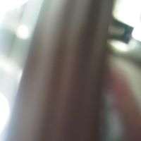 Theresa Han Photo 21