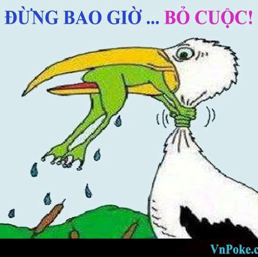 Quan Luu Photo 27