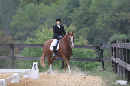 Jan Cooper Photo 13