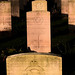Thomas Harmer Photo 3