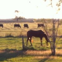 Cynthia Putman Photo 12