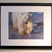 Roger Jackson Photo 33