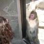 Michelle Houser Photo 38