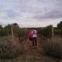 Victoria Mccullough Photo 14