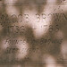 Jacob Brown Photo 16