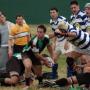 Ryan Phillips Photo 19