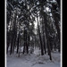 Traci Winters Photo 23